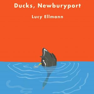 Ducks, Newburyport by Lucy Ellmann - Image 1