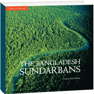 The Bangladesh Sundarbans by Enayetullah khan - Image 1