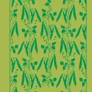 Cranford by Elizabeth Gaskell [Penguin Hardback Clothbound Classics] - Image 1